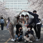 2022_cherry_blossom_1
